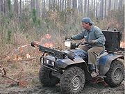 Prescribed burning is used by foresters to reduce fuel loads